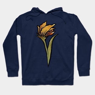 Spring Iris Tulip Gladiola Hoodie